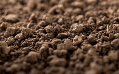 The Impact of Soil Type in Foundation Construction